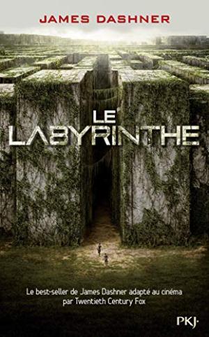 LE LABYRINTHE T.1